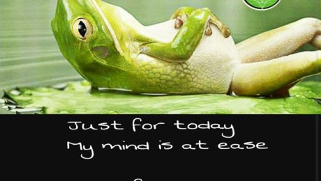 A frog. “Just for today…”