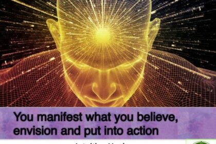 Abstract head with radiant light and text.